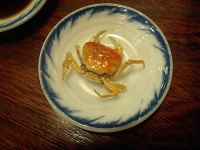 201005101016451.JPG