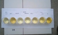 201104150806451.JPG